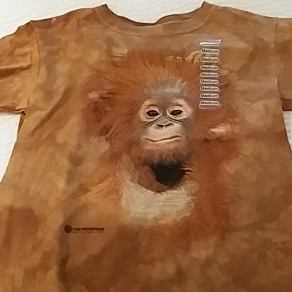 Kids animal tees - Picture 1 of 1